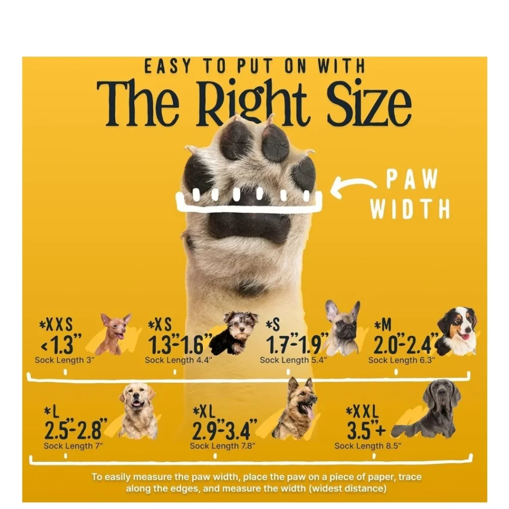 Dok dog double